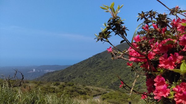 【臺北大縱走2】大屯山主峰、南峰、西峰914087