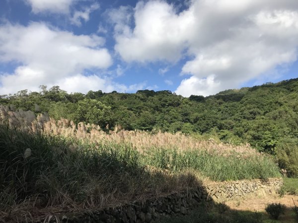 2021.12.11 大舌湖山O型( 漁光國小 漁光派出所 大舌湖步道 粗石斛吊橋)1550772