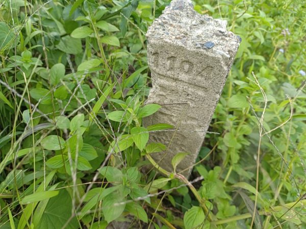 20230812台中東勢石角山、麻竹坑山、和平大南坑山主峰、大南坑山、大南坑山東峰2246208