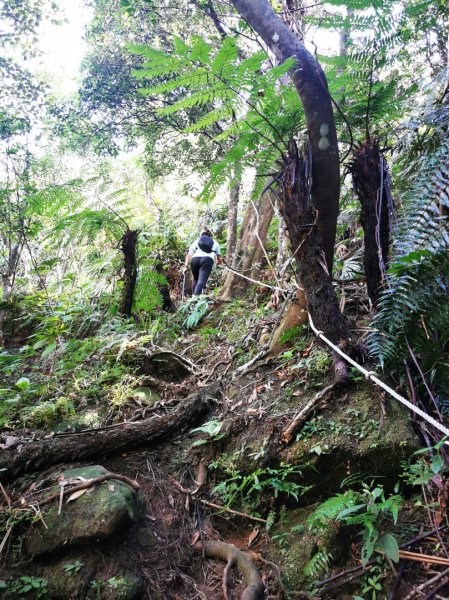 九華山福德宮-平溪子山-台和煤礦-北43鄉道-106縣道2907769