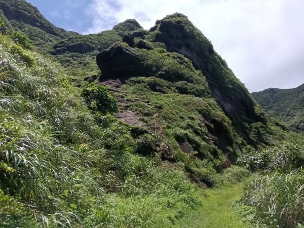 瑞芳區黃金8.5稜+南雅山O型2866451