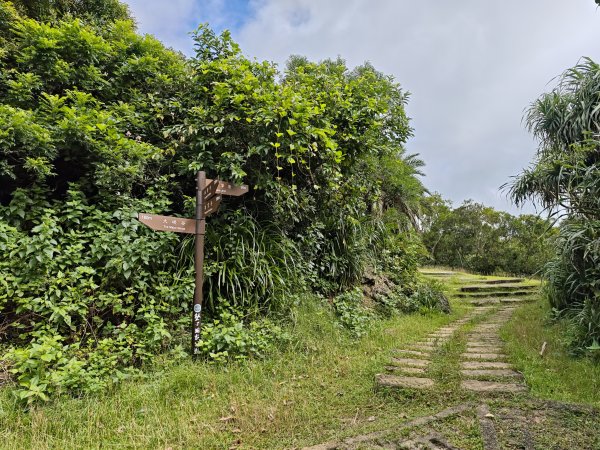 [百山百鳥尋旅-02/15] 2025_0809 社頂自然公園步道2857032