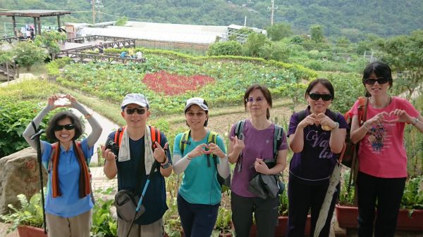 白石湖鯉魚山夏日賞花輕旅行363074