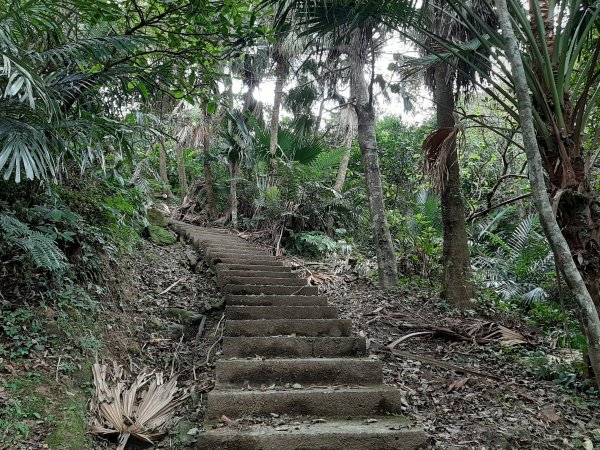 不高，但，超難找二座小百岳1143506