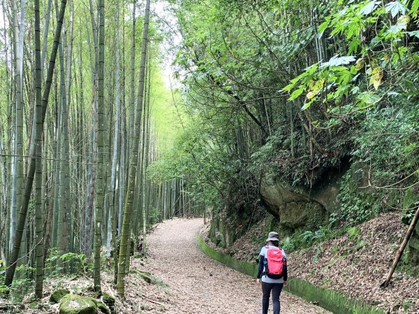 納涼去～頂湖上大凍山 20190622621387