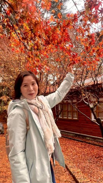 🌈12/20(六)福壽山農場~追風趣✨FB：熊熊趴爬走🌈2967268