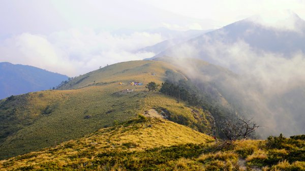 小關山+海諾南山(小關山林道進出)