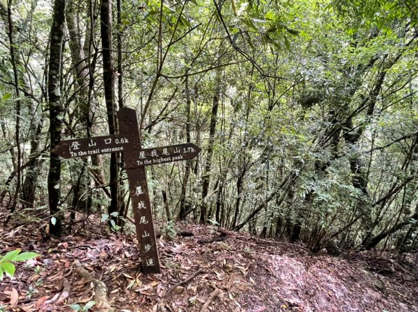 2022谷關七雄，慢旅臺中-屋我尾北登山口 0805