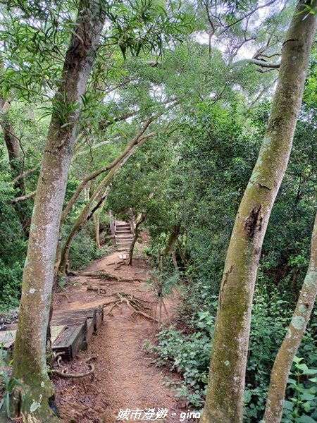 【台中潭子】風和日麗健行趣。 新田登山步道x聚興山2310403