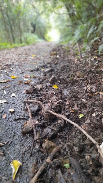 《苗栗》關刀出關｜三義關刀山出關古道(聖關段-苗56)202509052878777