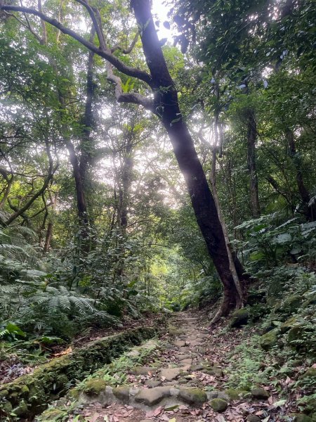 土城頂埔捷運站-大暖尖山-火焰山-承天路-石壁寮溪棧道-永寧捷運站2896419