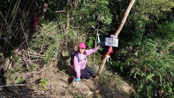 (姨婆趴趴走)第四十六集:新竹關西赤柯山及南峰、東西獅頭山、馬福山環狀縱走2685816