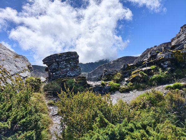 北一段(11/14)南湖北峰 2025_0906~132887349