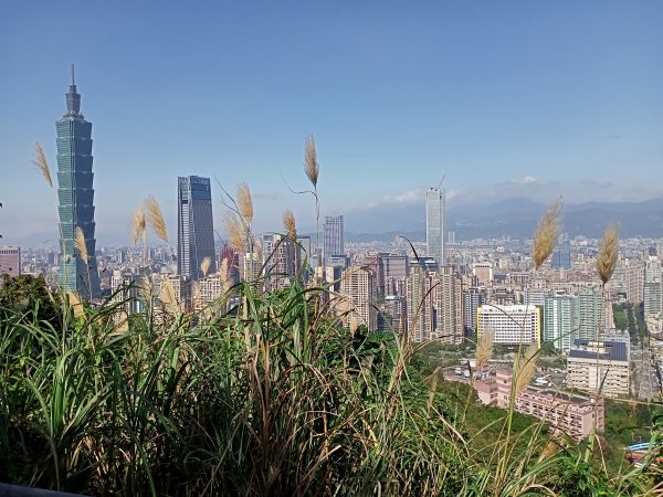 【南山神壽任務尋寶趣】國際化的象山親山步道1596477