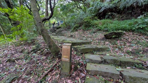 114.11.01旅聯網21週年活動之七星山-七星山東峰-七星公園-夢幻湖2928894