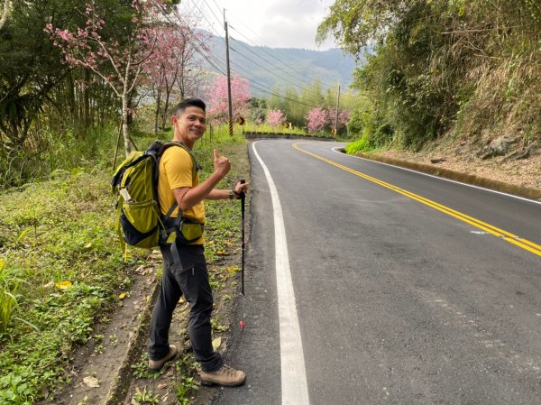 櫻之道.迷糊步道.福山古道.福山步道【全民一起瘋櫻花】1647058