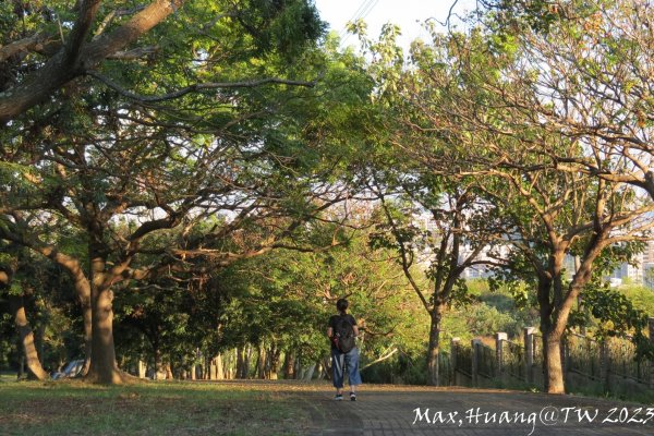 《台中》午後斜陽｜中科東大公園步道202311042336978