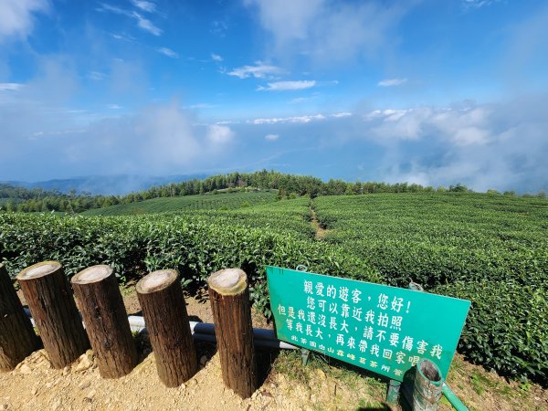 20251004雲頂之丘番子田山2927194