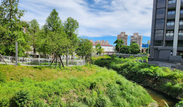 五尖山，牛埔頭山，冷水坑古道，冷水坑溝步道，福林之丘，青雲路411巷彩繪牆
