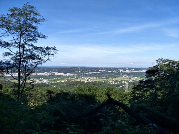 飛鳳山、觀日坪古道1750065