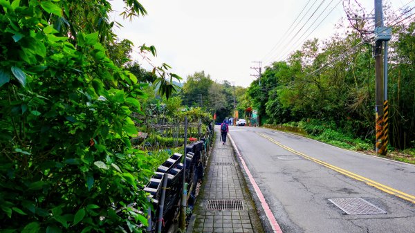 你若來汐止2961397