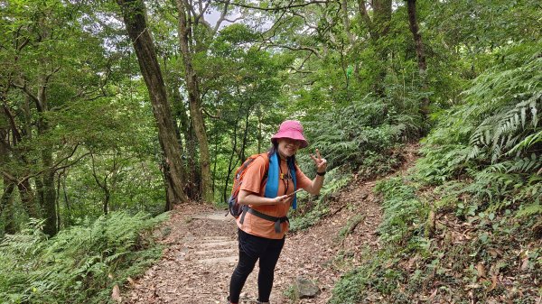 (姨婆趴趴走)第十六集:東滿步道，台灣百大必訪步道2220541