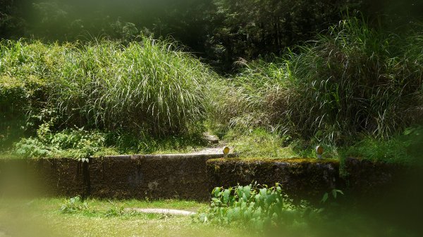 三星池登山健行趣1789852