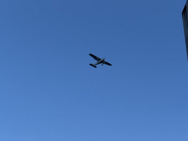 [紐約馬之行-21] 2025_1104 托寧湖(Tjörnin)2946352