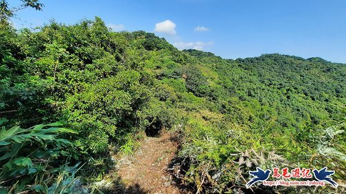 【基隆】七堵瑪陵尖東南峰、瑪陵尖小O形