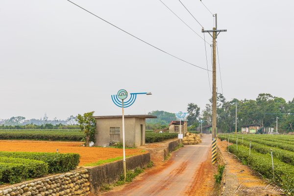 [南投]松柏坑山2683279