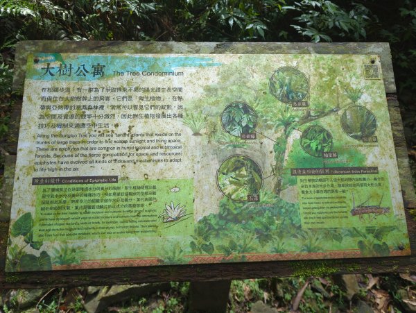 2025.01.10－松羅國家步道2981181