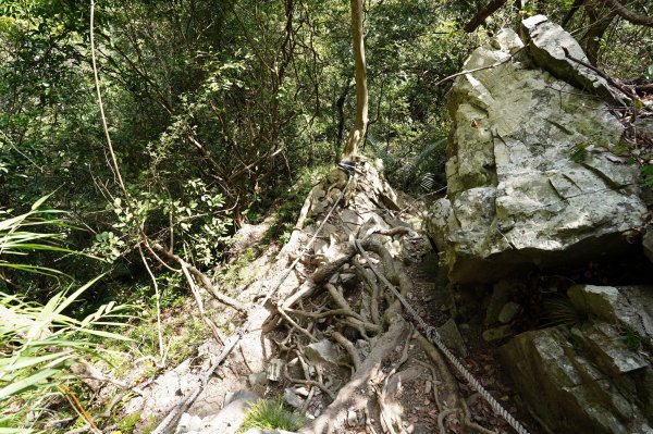 臺中 和平 屋我尾山、十文溪山2699460