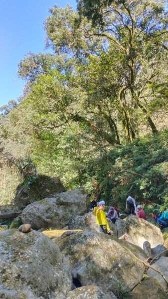 豐杉縱走1140303~022725342