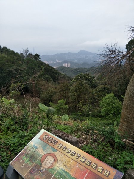 貓空&待老坑山1285665