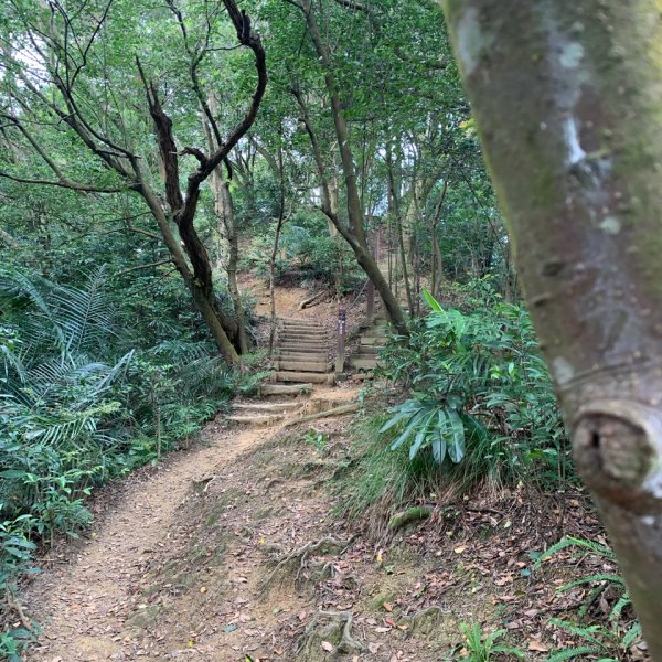 20260412鳶山東峰、長春嶺、鳶山（福德坑山）三角點、鳶山彩壁、鳶山岩、光復紀念鐘3045600