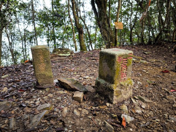 2026-02-08 藤枝山2998439