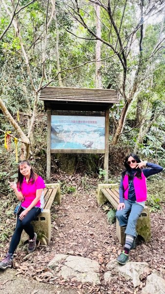 🌈1/18(六)小百岳雙收~大橫屏山+九份二山順遊賞梅🌈FB：熊熊趴爬走 歡迎加入2692548