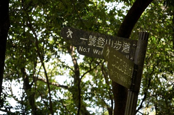 大坑1號步道2865262