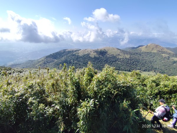 【臺北大縱走 2】【第二回合全程完成證書】鞍部→大屯山步道→大屯山主峰→大屯坪步道→二子坪步道2960390