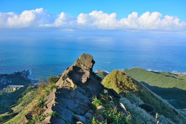 茶壺山O型賞芒