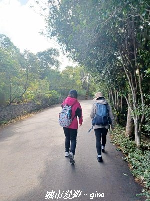 【新竹東區】十八尖山x十八尖山東峰x石家魚丸x東門倆冰糖葫蘆x城隍廟鄭家蛋糕2984193