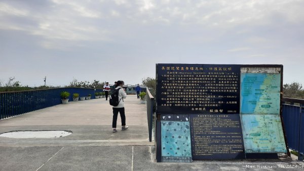 《台南》滄海桑田｜台江內海與黑面琵鷺野生動物保護區2675436