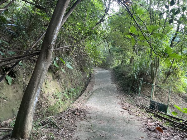 [皮皮獅Hike客任務-10/10] 2024_0831 十二寮古道2586603