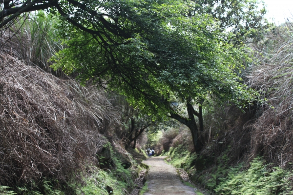 20160502台灣台北陽明山金包里步道公開90684