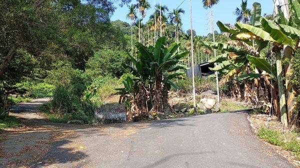 台中和平區大茅埔山3129192