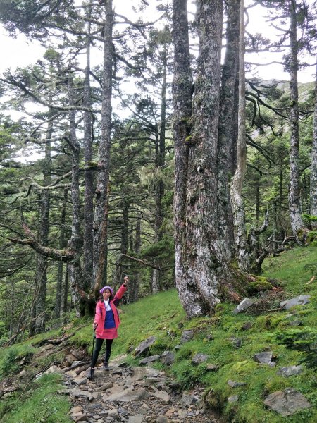 2017.07.07-08雪山主東峰876538