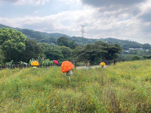 6/18(日)大台北天際線之二格公園上二格山(小百岳)下貓空賞夕陽(搭貓纜)2188892