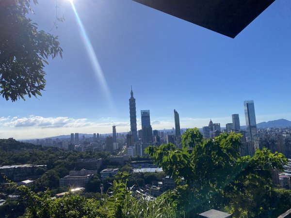 【四獸山 Short】虎豹象先行！獅山封閉中，等新步道開箱再相見2888792