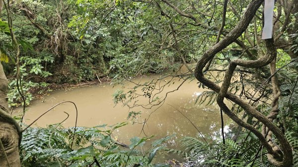 20250902大湖山東南峰-康樂山北峰-明舉山東峰-安湖公園-火炭坑山(騎車爬山)2878457