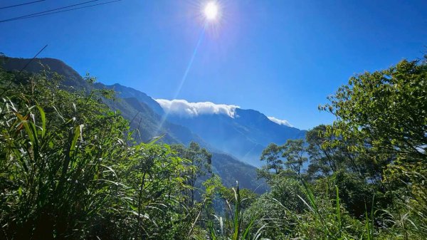 20251106北大武山步道☁️ 喜多麗雲海2931382